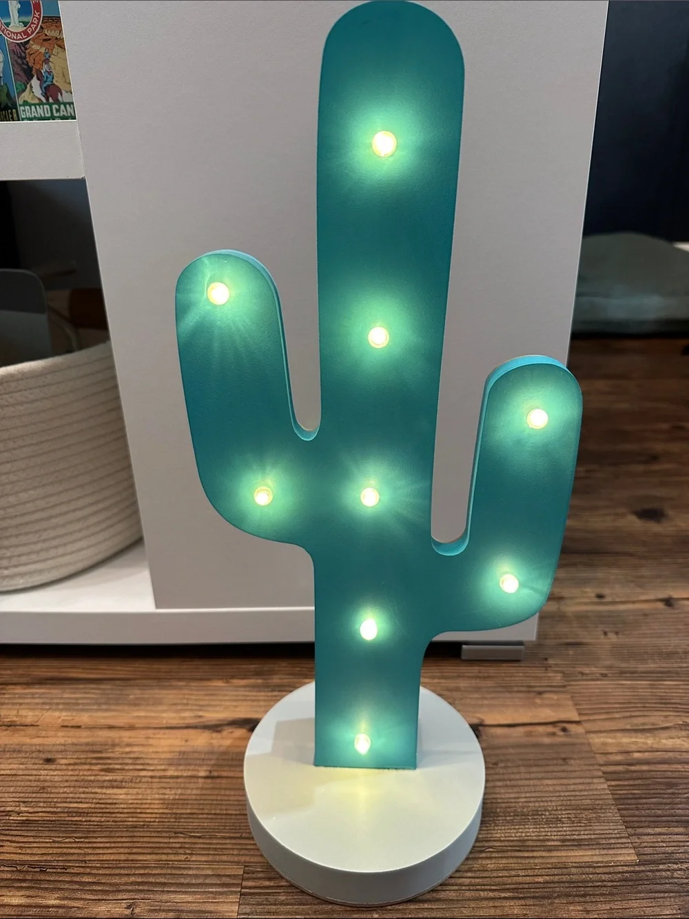 Turquoise Cactus LED Night Light - Decorative Home Party Accent